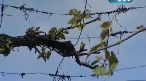 Испания, Андалусия, Далеко и ещё дальше с Михаилом Кожуховым