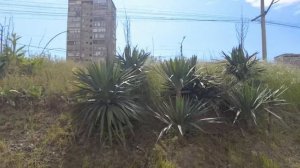 Абхазия 2022. Обзор отеля Sun Palace Gagra?12.05.2022