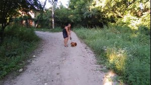 Кокер спаниель Рич 1год дрессировка!!!
