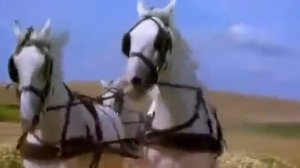 Мафик     Цыган