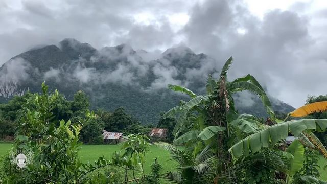 Слушаю как растёт рис смотреть онлайн