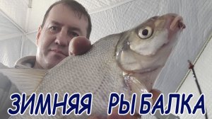 Ловля леща зимой на Воронежском водохранилище