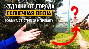 Солнечная весна \ Музыка от стресса и тревоге \ Отдохни от города \ Завидово