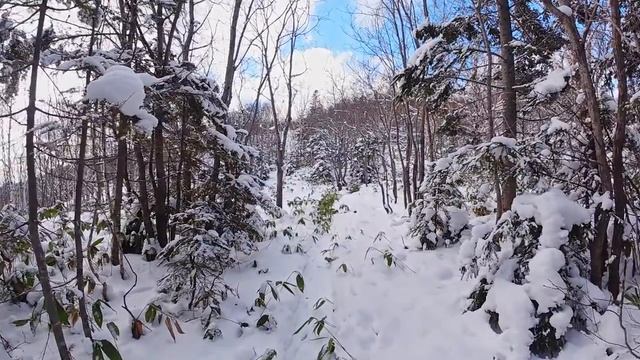 ? Сольфеджио 396 Гц~ Удаление Внутренних Блоков~ Избавление от Тревог и Страхов~ Музыка для Очищени смотреть онлайн