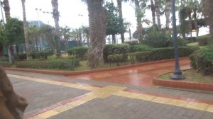 Тем кто выбирает Gardenia Hotel Аланья Турция Расположение отеля Gardenia Hotel