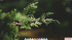 Pros and Cons of Elementary OS