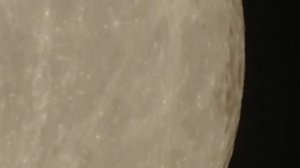 Nikon P900 Moon zoom 7/4/2020(1)