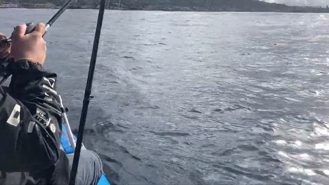 Fishing la jolla in stormy conditions Scout 430 смотреть онлайн