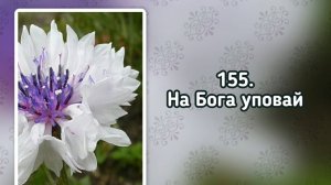 Гимны надежды 155 На Бога уповай (-)