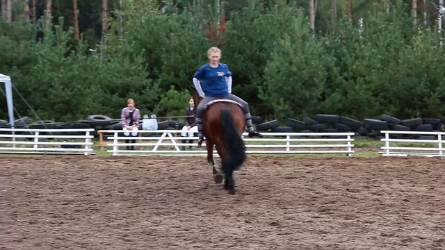 КСК Пальмира. 11 сентября 2016. Непохожие смотреть онлайн