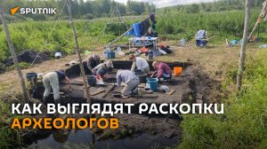 Раскопки археологов на торфяниках выглядят так