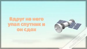 История про СаНю