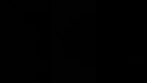 Sweet Caroline Bass/baritone