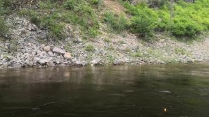 Горная река Чая