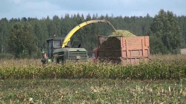 Уборка кукурузы на силос 2016.