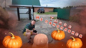 КАК МЫ ТЫКВЫ ИЗ ПЕНОПЛЕКСА ВЫРАЩИВАЛИ 🤣ФОТОПРОЕКТ С ТЫКВАМИ!!!