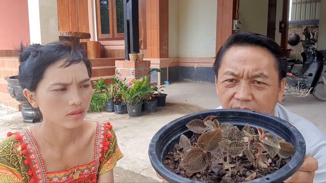 qhia tshuaj zoo mob kab siab (B) los yog zoo mob siab khov,thiab tshuaj zoo ♥plawv 4/08/2021 смотреть онлайн