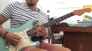 Dewa Agung Perdana - Fender Texas Special & Dimarzio Virtual Solo Pickups