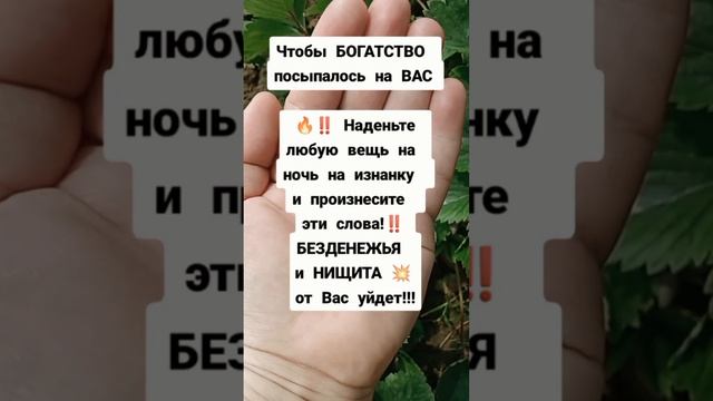 Подпешись на БОГАТСТВО‼️#заговор #ритуалы #деньги #обряды #обрядынаденьги #заговоры#приметы #ритуал