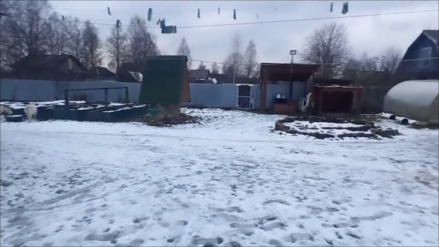 Набралась опыта в сыроварение? Сыр в разрезе/ Камера преувеличивает...У нас всего 25 соток? смотреть онлайн