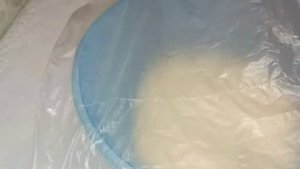 МОЛОЧНЫЙ хлеб на опаре и живых дрожжах.