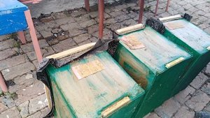 Гдеставить ловушки / Расставляем ловушки/ Как поймать рой пчел/ Лайфхак для роелова. Роеловство 202