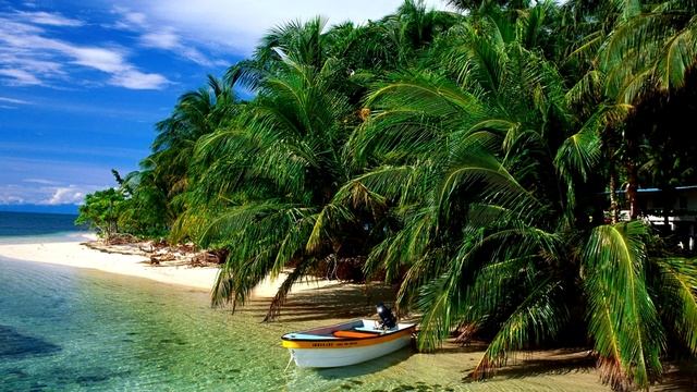 Мужчина спас крокодилу жизнь, и тот вернулся! Вы будете шокированы, в это сложно поверить... смотреть онлайн