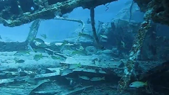 jedda no diving the movie 2