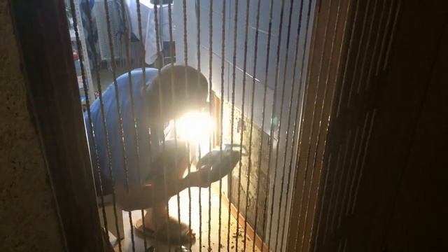 #Стояк #канализационный. Вскрываем стену. Часть I. смотреть онлайн