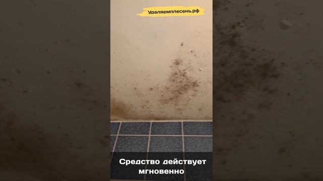 Удаление плесени на потолке в ванной смотреть онлайн