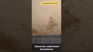 Удаление плесени на потолке в ванной