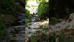 Яворова поляна...Гузерипль.Каменное море.