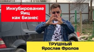 Инкубатор и цыплята как БИЗНЕС | Трушный канал Ярослава Фролова