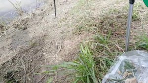 Старинная забава - ловля карася. Веселая рыбалка моего детства. Как забрасывать резинку с берега.