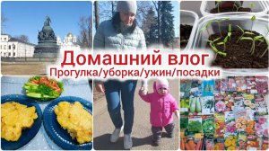 Знакомимся/ прогулка на каникулах/мотивация на уборку/ужин мясо/посев томатов/обзор семян.