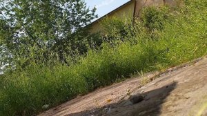 Стук передних колодок Prado120