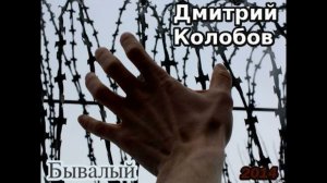 Дмитрий Колобов_Бродяга