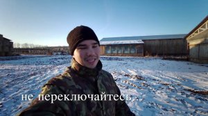 Стадия постройки навеса и котики