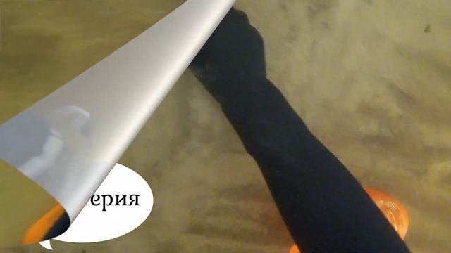 обзор НАХОДОК 2021/ПОДВОДНЫЙ поиск/NOKTA MAKRO PulseDIVE