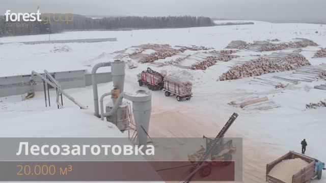 Производство оцилиндрованного бревна. Компания Группа Форест.  Проектируем и строим дома