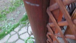 Неомид 430 эко