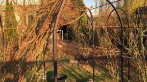 Арка проходящая сквозь арку!!!Арки для роз в саду.