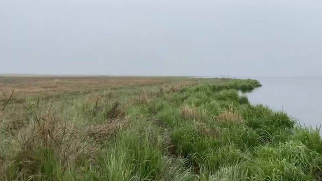 Чавыча 2020г. смотреть онлайн