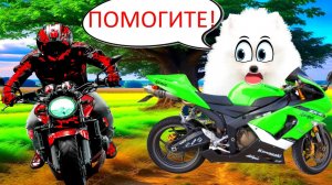 Шанель ПОГИБЛА?! В АВАРИИ НА МОТОЦИКЛЕ!!!