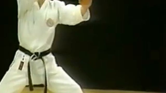 Ката каратэ сетокан - Хейан Йондан смотреть онлайн