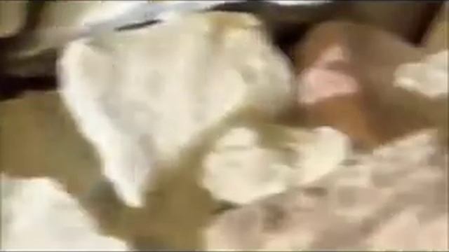 Печь для бани своими руками смотреть онлайн