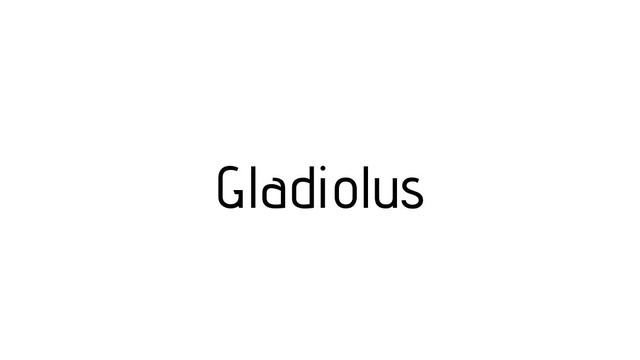 How to pronounce Gladiolus  Gladiolus pronunciation