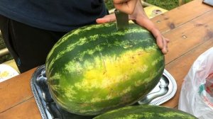 АРБУЗ ИЗ МАГНИТА / ДИКСИ / ПЯТЁРОЧКИ / ГДЕ КУПИТЬ АРБУЗ?