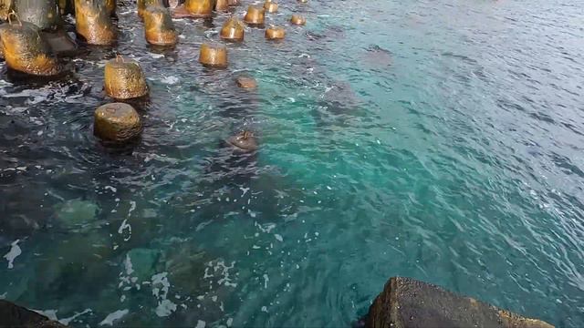 🔴Попробовал Ловить на Новую Оснастку. Сарган  Жадно Брал. Морская Зимняя Рыбалка в Крыму.
