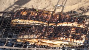 Готовим сазана